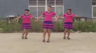 丁丽广场舞 不要爱上哥 东方健 高清