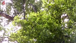 走到故乡看美景 20130430