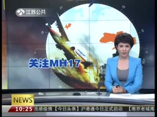 马航MH17坠毁后最早现场视频首次曝光