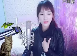 六间房美女主播╰&hearts;小鹿乱撞？秀场直播