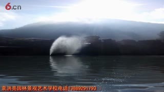 假山仿石仿木仿树现场培训公开课2019(B)