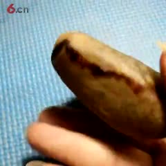 原石翡翠