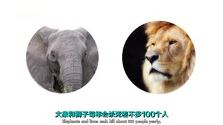 杀人生物