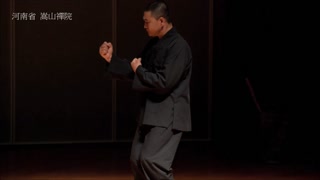 少林罗汉护身捶-释德建禅师演练 高清版