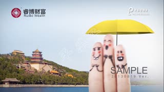 RuiBo_Demo_20130819-2_CN